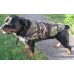 Dog Coat (Large)